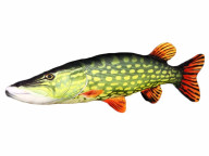 Štika polštář 80cm