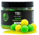 TB Baits plovoucí boilie Pop-Up Amur + NHDC 50g