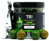 TB Baits boosterované boilie Amur 120g - 20mm