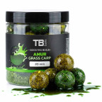 TB Baits boosterované boilie Amur 120g