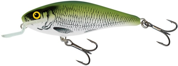 detail Salmo wobler Executor Shallow Runner Real 7cm / 8g