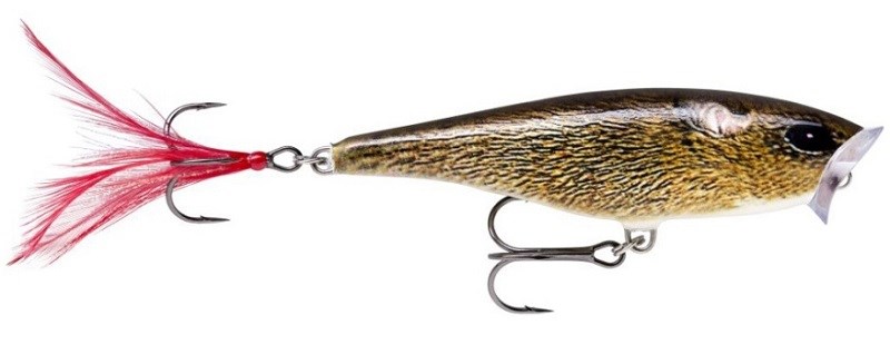 detail Rapala wobler Skitter Pop 7cm