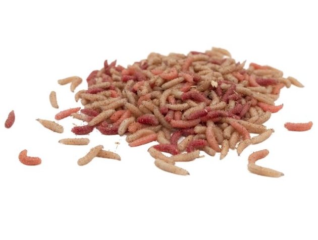 detail Červi Pinky barevný mix - 1 litr