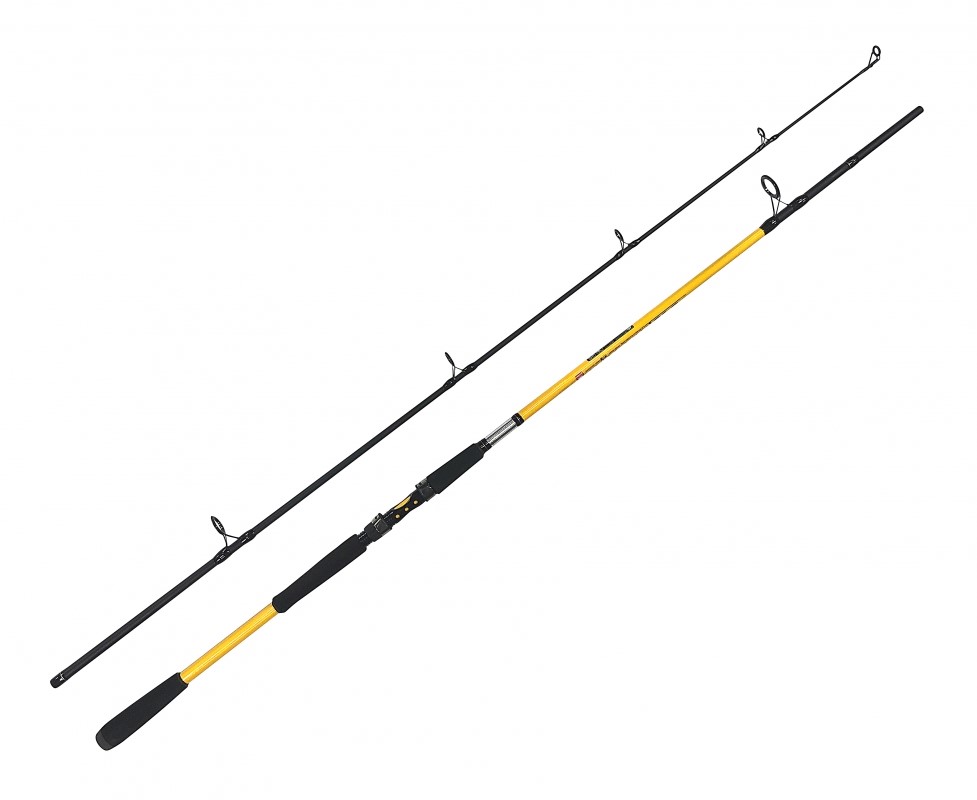 detail Zfish prut Kodiak 2,40m/100-250g