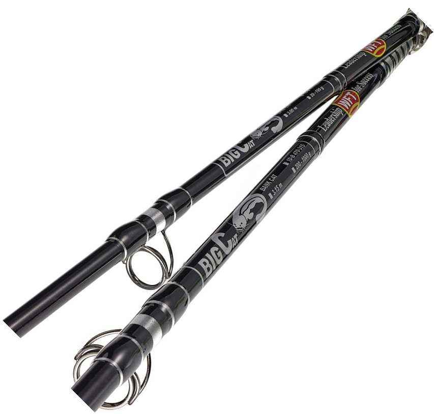 detail WFT prut Big Cat Bank Cat 270cm / 200-1000g