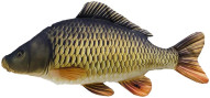 Kapr šupik polštář 64cm